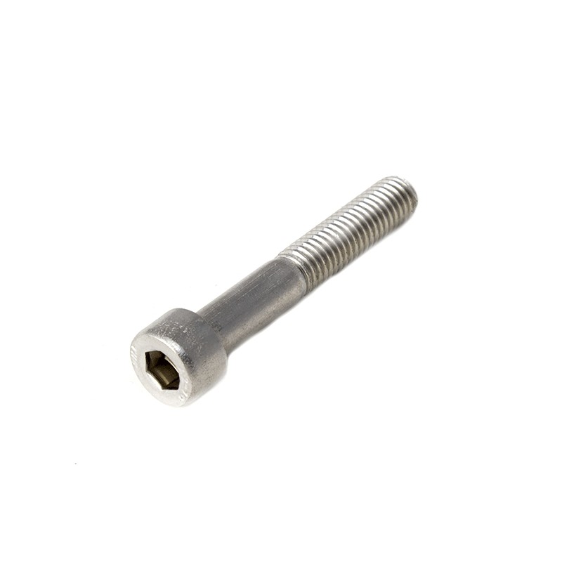 Cabeza de cabeza hueca Tornillo Allen Acero inoxidable A2 M8 X 50 mm Talaria Sting
