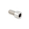 Cabeza de cabeza hueca Tornillo Allen Acero inoxidable A2 M10 X 20 mm Talaria Sting