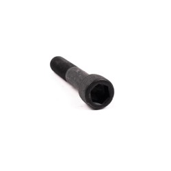TORNILLO MASTIL RAPTOR DUAL