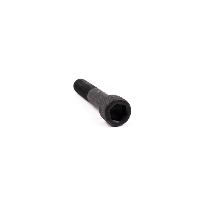TORNILLO MASTIL RAPTOR DUAL