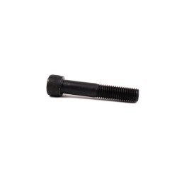 TORNILLO MASTIL RAPTOR DUAL