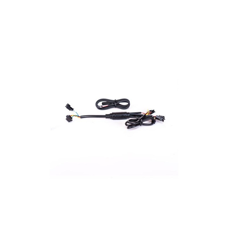 CABLE PRINCIPAL INTERNO SW/RW
