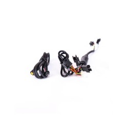 CABLE PRINCIPAL INTERNO SW/RW