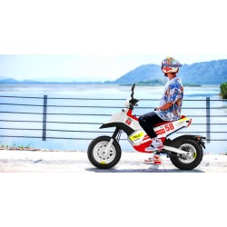 Felo FW-03 limited edition SIC 58 Moto electrica exclusiva scooter de Carretera Sujeta a Plan Moves III
