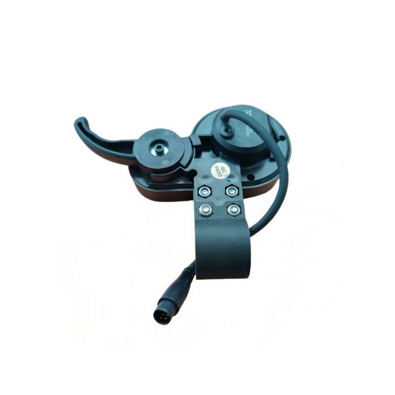 Display 36V, 3Speed (Skateflash Echo)