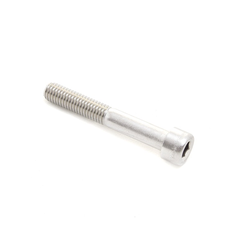 Tornillo de cabeza hueca Allen Acero inoxidable A2 M8 X 55 mm Talaria Sting